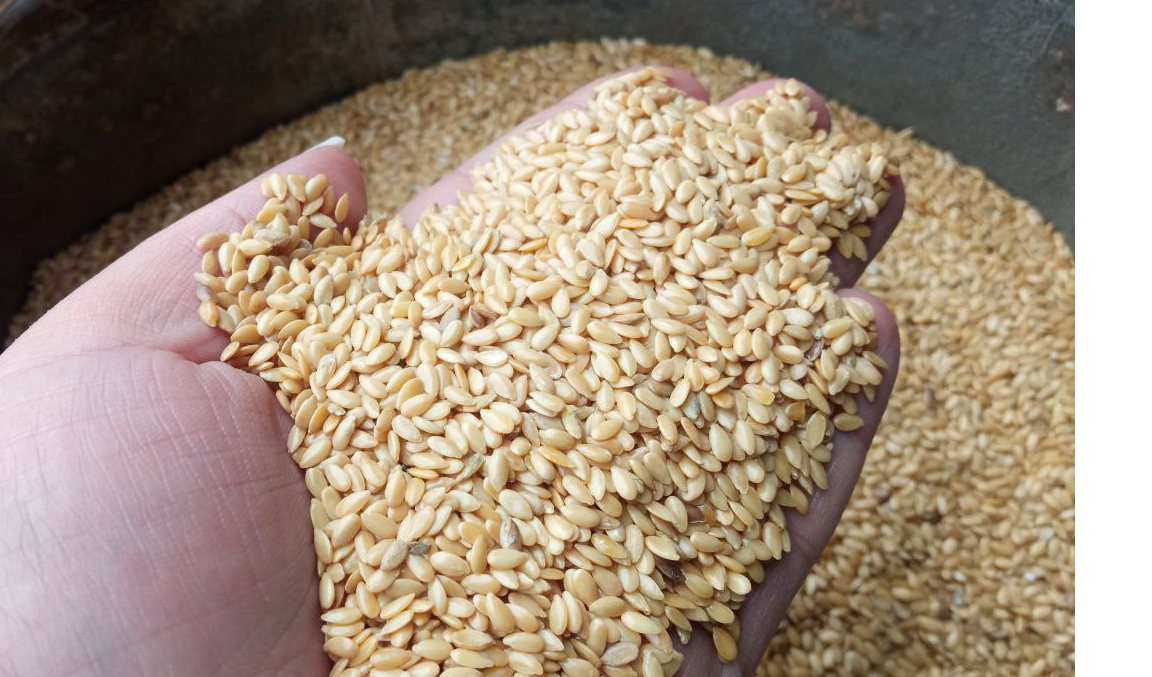 Vendemos linaza dorada de producción propia de Ucrania