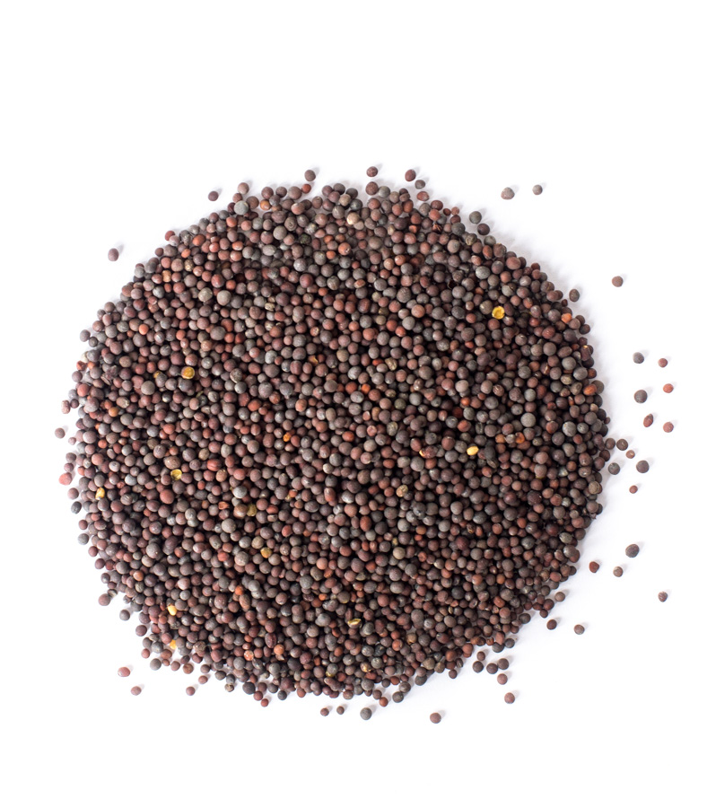 ¡Venderé semillas de mostaza negra! Grano tiene un certificado de calidad! Almacenado en las condiciones adecuadas de temperatura y humedad! Humedad del grano