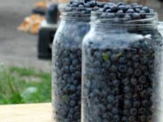 Venderé arándanos 18 PLN por litro