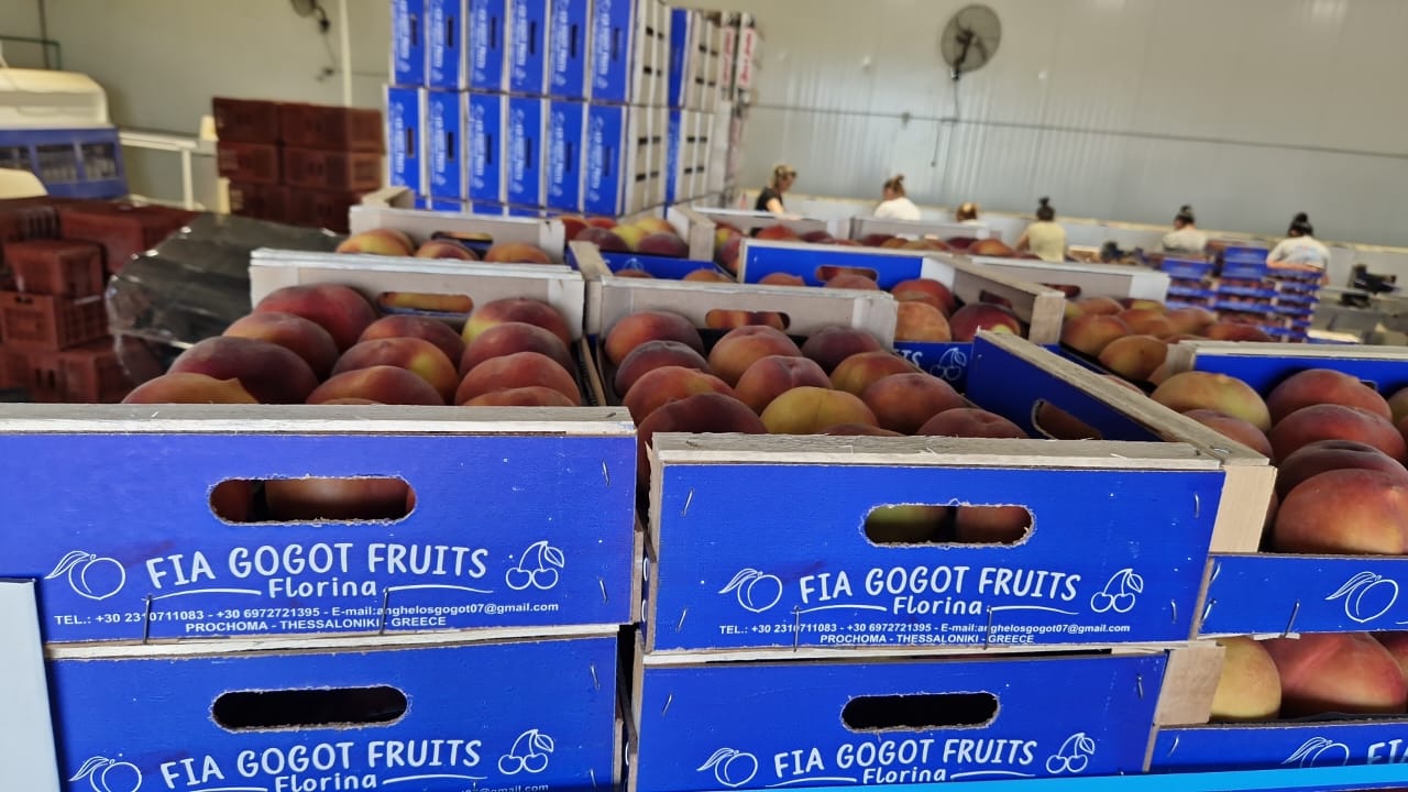 Comienza la temporada de nectarinas con frutas frescas y de calidad con precios negociables y procesadas en empaque a pedido de nuestros clientes