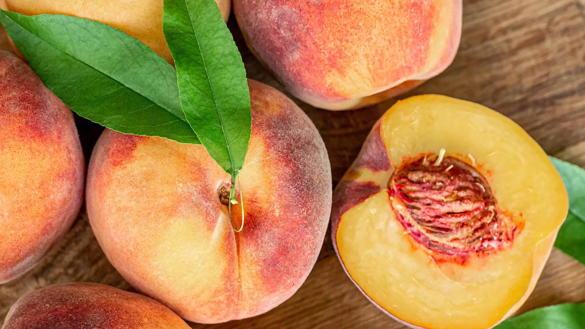 Peach Red Haven Tarade origen - República de Moldavia Calibre 70 mm + caja de madera, paletizado, refrigerado, del frigorífico