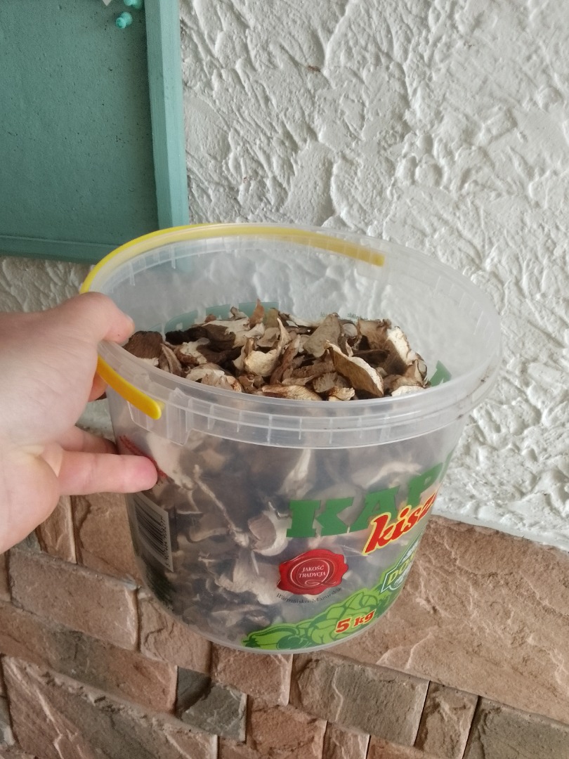 Venderé champiñones secos este año