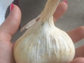 Vendo grandes cantidades de ajo.