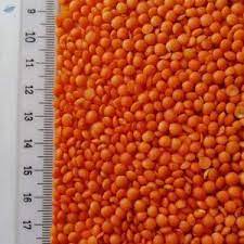 Característica: materia extraña dura y dividida: 1% máx