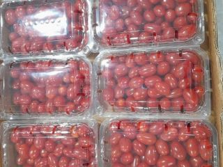 Uva Tomate cherry premium envasado [teléfono]g disponible [teléfono] uds