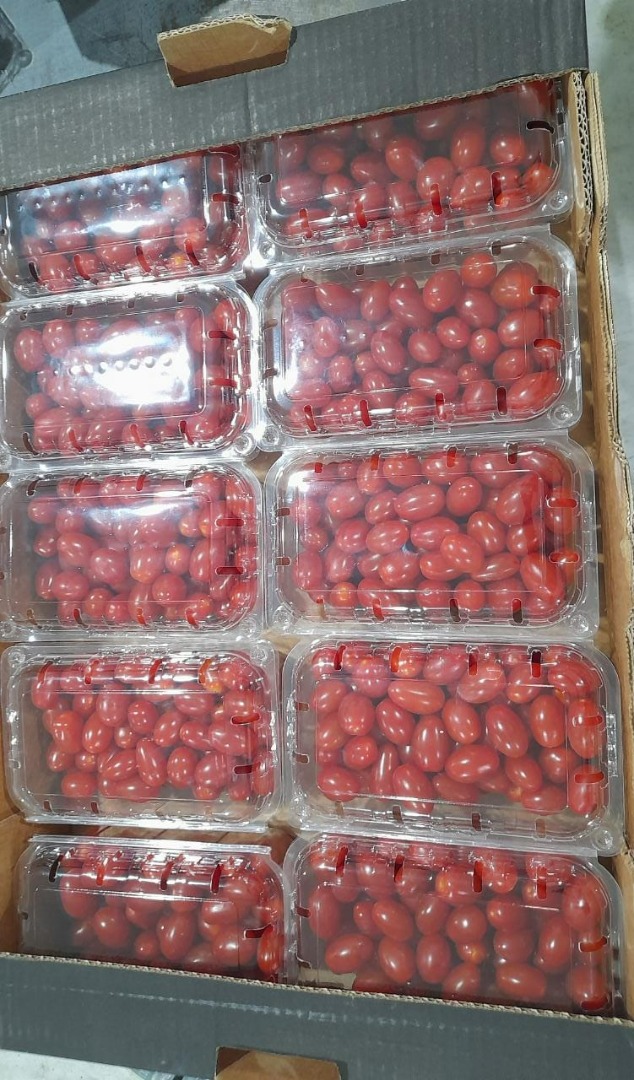 Uva Tomate cherry premium envasado [teléfono]g disponible [teléfono] uds