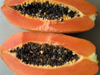 Papaya intenzza