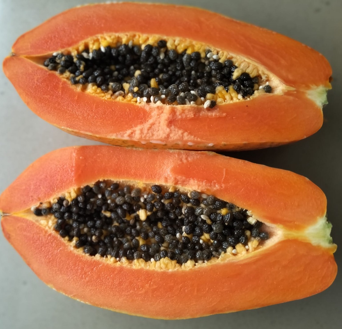 Papaya intenzza