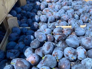 ciruelas frescas