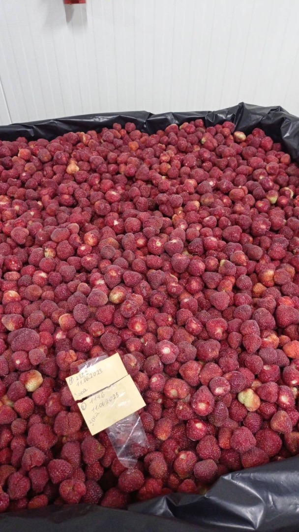 Fresas Congeladas de UA