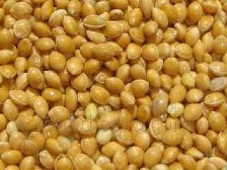 Venderé mijo amarillo chervone negro así como guisantes y