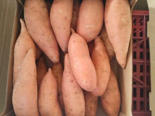 ¡Batata! ¡batata! Venderé batatas. Talla M y L País