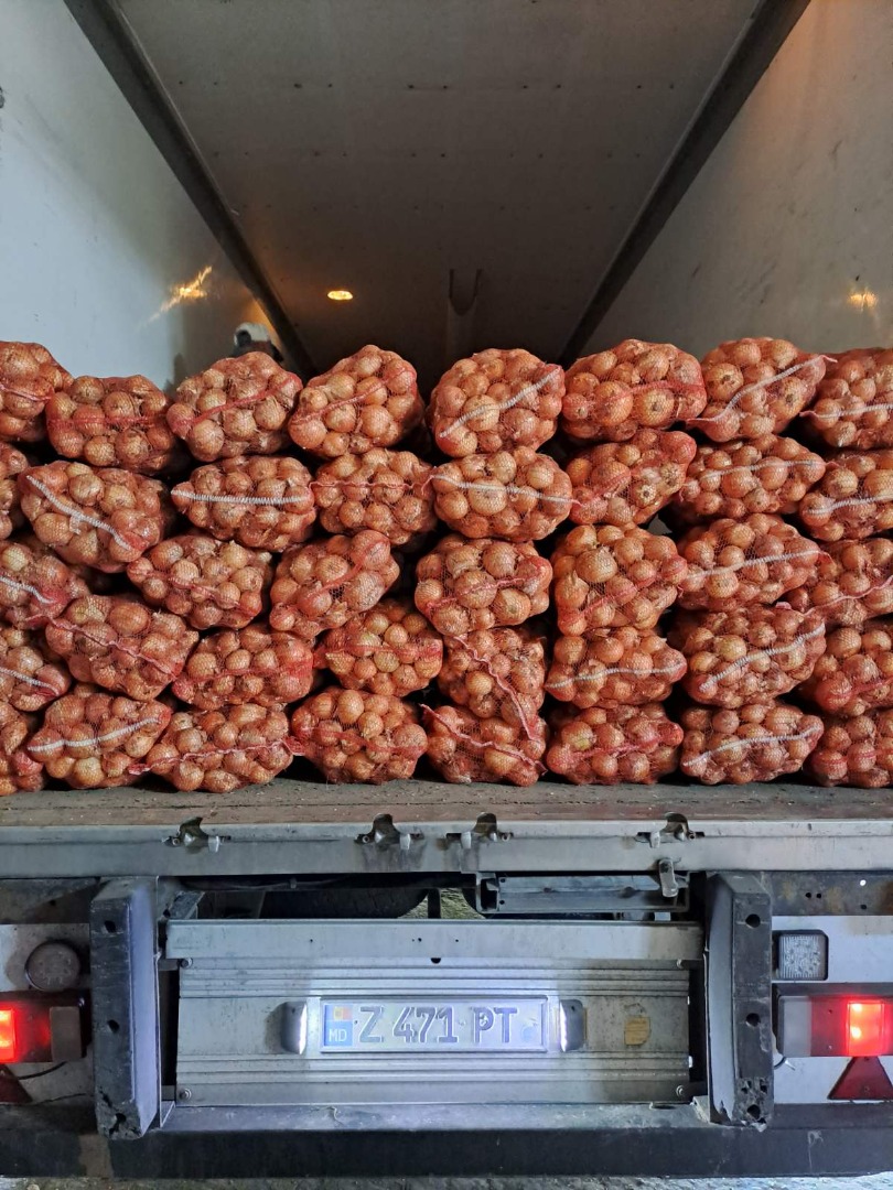 Vendo 300 toneladas de cebolla calibre 5+