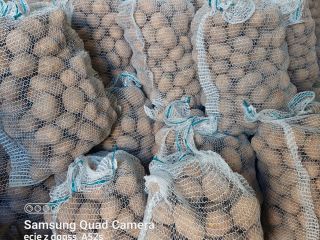Venderé papas nuevas, Catania, variedad Vineta. Mercancías frescas, desenterradas
