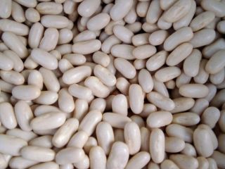 Vendemos frijol, varias variedades, el precio más bajo del