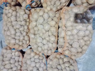 Hola tengo a la venta papas tiernas variedad vineta