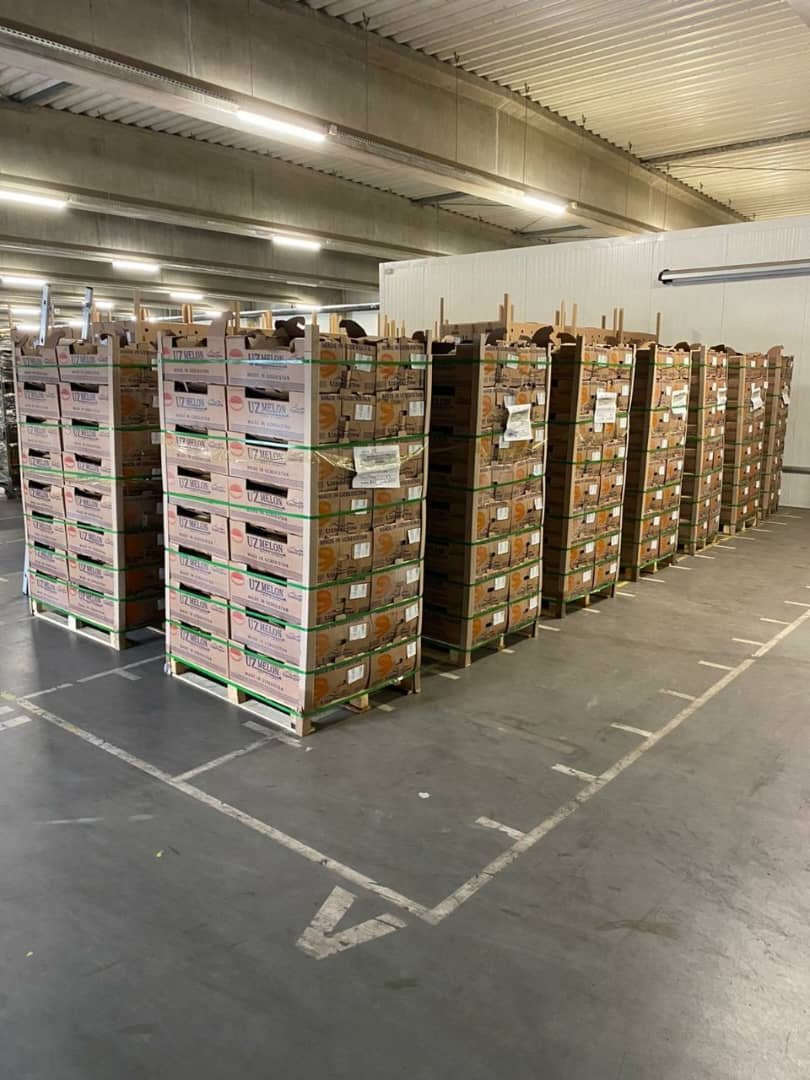 Queridos amigos, les ofrezco melón dulce uzbeko a un precio razonable