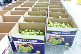 Venderé Tahiti Limes Grado 1 directamente del productor