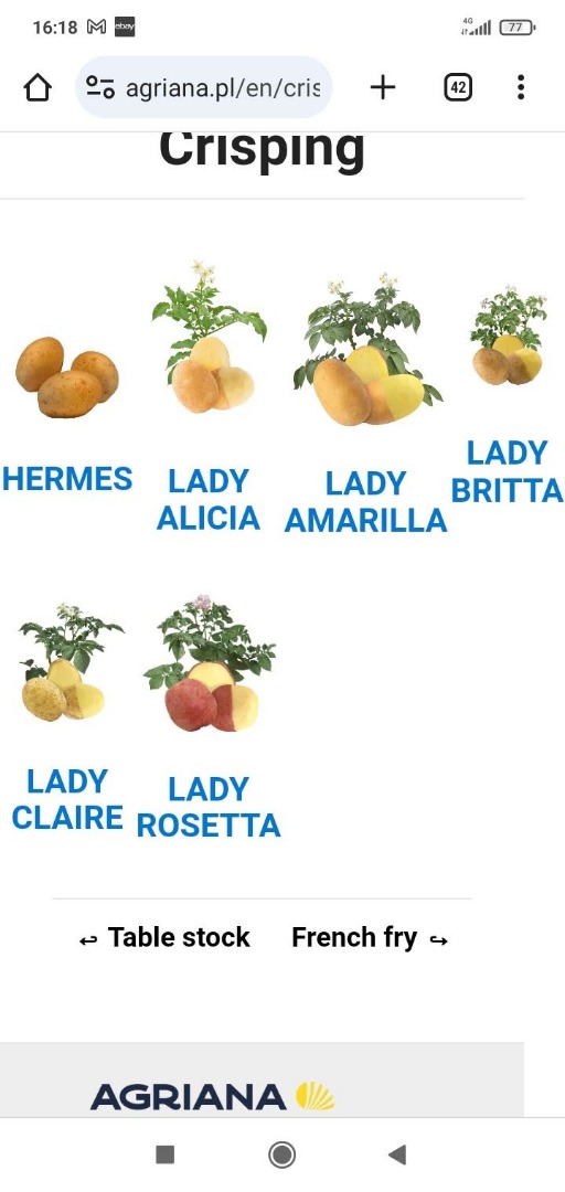 Hola, busco distintos tipos de papas: Lady Rossete, Agria, papas rojas, etc., de tamaño mediano, para una pequeña empresa que fabrica papas fritas