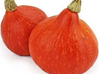 Hola, tengo a la venta calabazas Hokkaido Orange. No