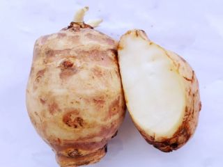 Venderé alcachofa de Jerusalén de 3 hectáreas de cultivo.