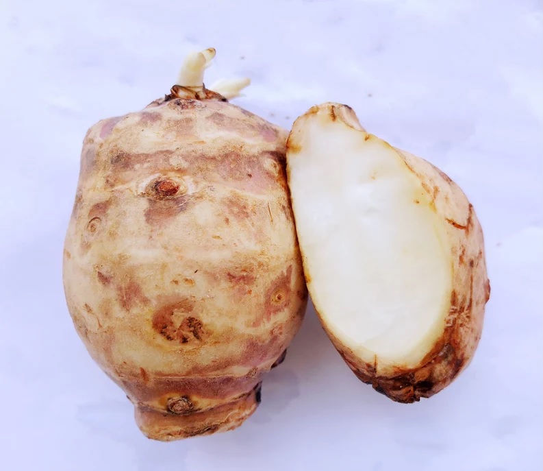 Venderé alcachofa de Jerusalén de 3 hectáreas de cultivo