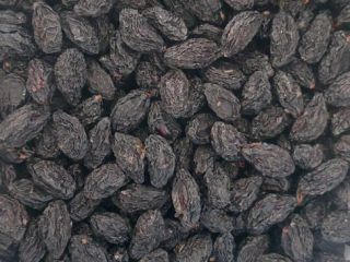 Vendemos ciruelas Stanley