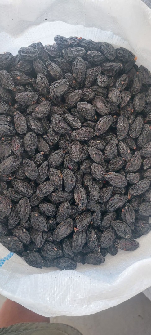 Vendemos ciruelas Stanley