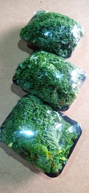 Vendo kale a granel o en bandejas de cartón, 2,5 kg, brecha global, pruebas actuales, por favor
