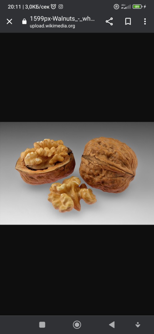 estoy buscando nueces