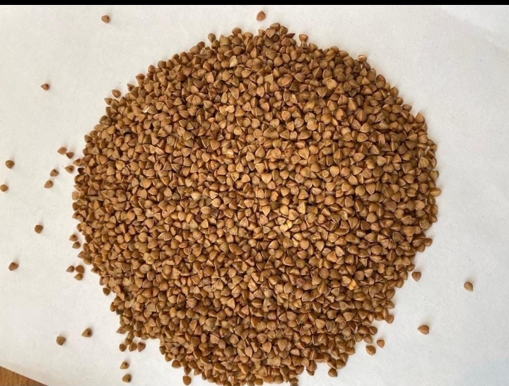Hola, te invito a comprar sémola de trigo sarraceno de la más alta calidad con entrega a Alemania