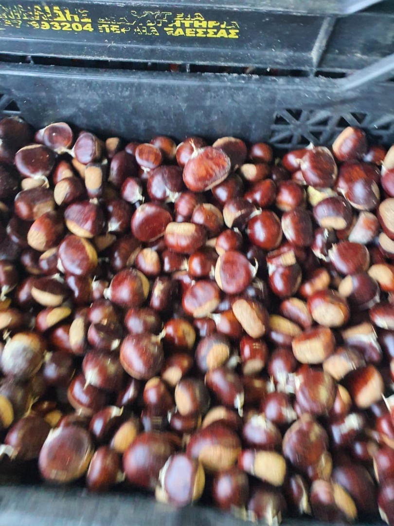 Castañas dulces de primera