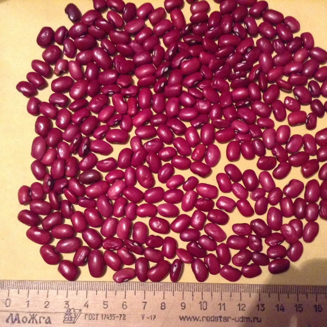 Se encuentran disponibles para la venta varias variedades de frijoles