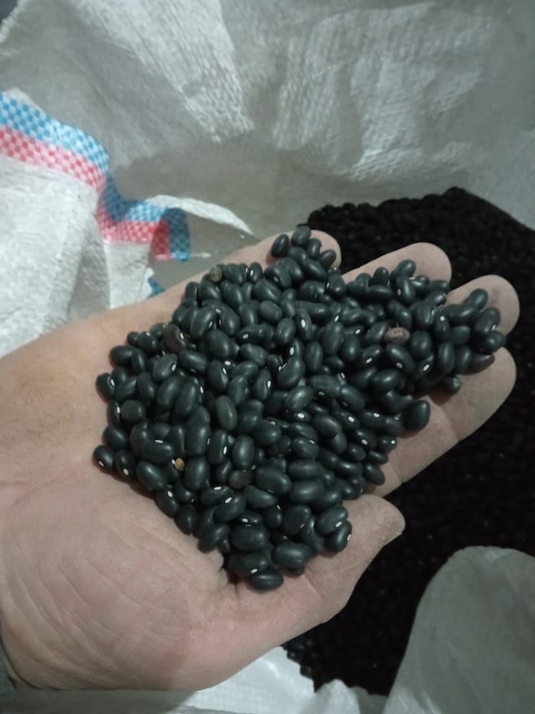 Podemos ofrecer varios tipos de frijoles, como frijoles lima, frijoles blancos largos, frijoles blancos, frijoles rojos, frijoles negros, etc
