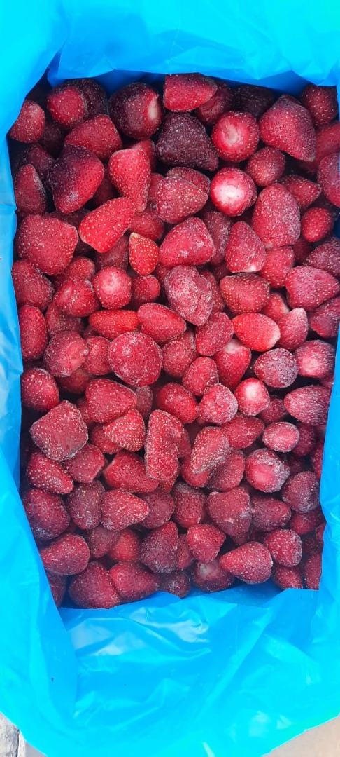 Fresas congeladas grado A sin calibrar calidad perfecta de nuestra finca