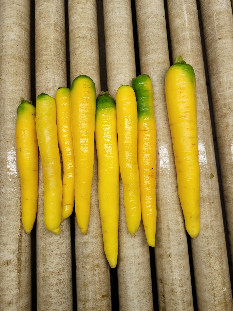 Venta de zanahorias amarillas