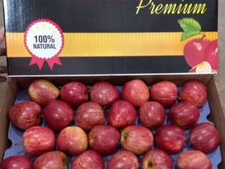 Vendo contenedores de manzanas que vienen de las montañas