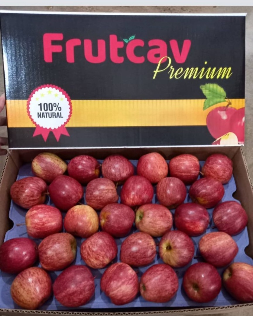 Vendo contenedores de manzanas que vienen de las montañas de Santa Catarina aquí en Brasil, son manzanas de excelente calidad, ven a conocernos y negociar