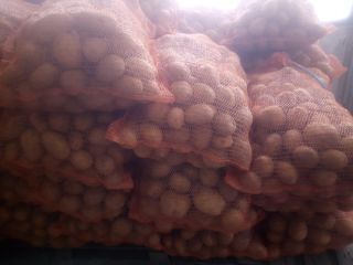 Venderé papas comestibles variedad Mariola. Jurek. Envasado en sacos