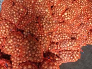 Venderé cebollas amarillas, tamaño 4+, bolsa de 15 kg,