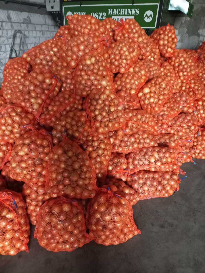 Venderé cebollas amarillas, tamaño 4+, bolsa de 15 kg, cosidas o atadas longitudinalmente, cantidades a convenir