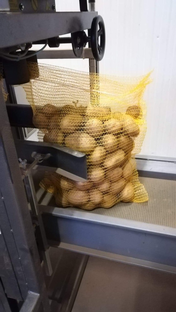 Hola