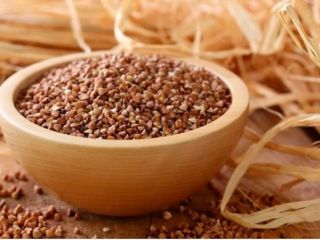 Granos de trigo sarraceno del productor LLC "Dar Zemli",