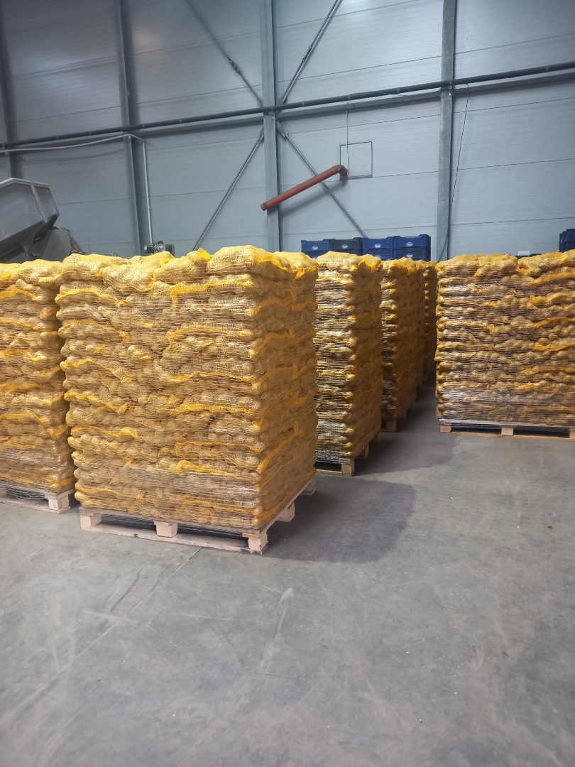 Venta de patatas: Bolsas cosidas de 10kg, 15kg o Big-Bag