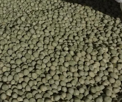 Vendemos guisantes madrás (big bags), lote 2023, 100 toneladas en stock