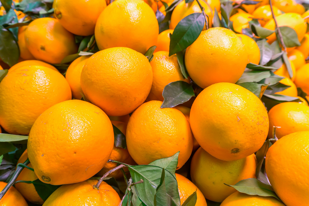 Me complace informarles que las naranjas Navel frescas están disponibles para la venta desde diciembre a un precio de $ por tonelada, libre a bordo (FOB)