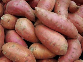 Venderé batatas al por mayor. Embalado en bolsas grandes.