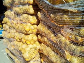 Cumpar cartón de consumo ambalati la bolsa de 10