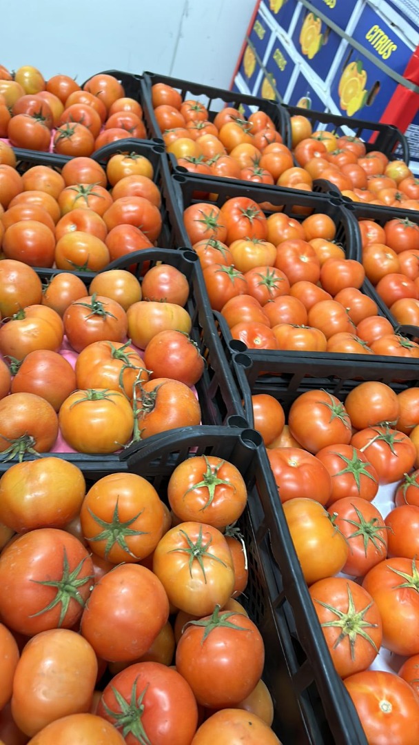 Vendemos tomates de Egipto de la más alta calidad, entregados directamente a su almacén