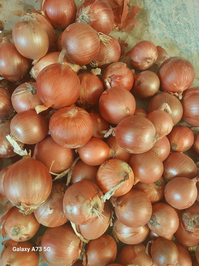 Cebolla amarilla de Uzbekistán Cebolla amarilla, roja, blanca Bolsa de 10 kg, 15 kg, 20 kg, 25 kg, 30 kg, Big bag 500 kg - 1000 kg Tamaño de 40 mm a 130 mm